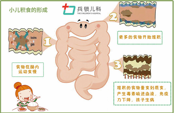 肠道积食小图.jpg